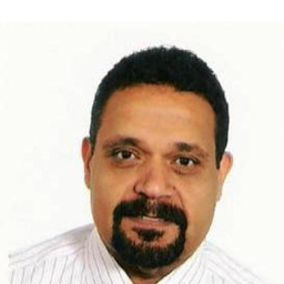 Mohamed Shebl Mohamed