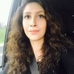 Ing. Maryam Zamani