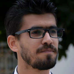 Ing. Mehdi Halila