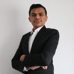 Ing. Dinesh Dhameliya