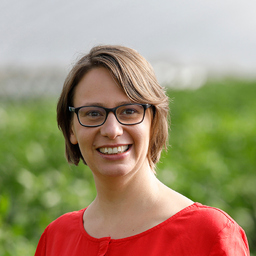 Viola Sander