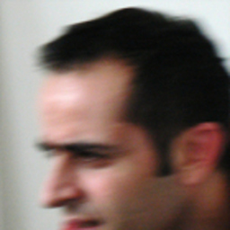 Flavio Papisca