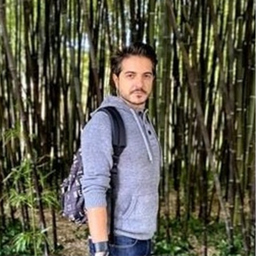 Riccardo Plaia