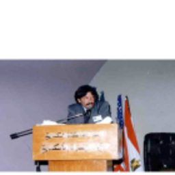 Mario Mineo