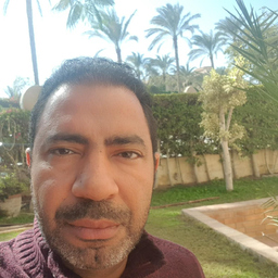 Ing. Ashraf Ahmed