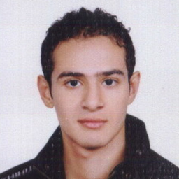 Ahmed Elbatt's profile picture