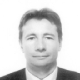 Dominique Cappronnier