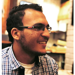 Youssef Elsharkawy
