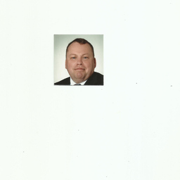 Robert Bauernschmitt