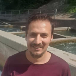 Mikail Yasin