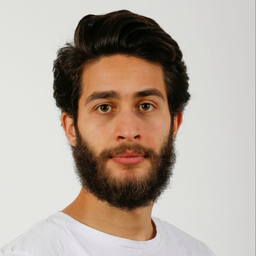 Tarek Albrijawi