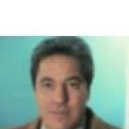 Fabio Savini