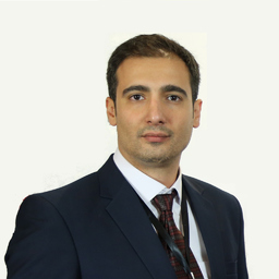 Reza Amini