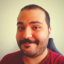 Seyed Amirhosein HASANLI