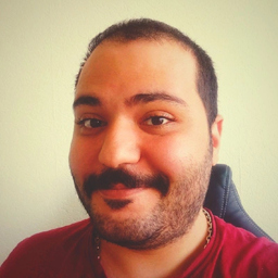 Seyed Amirhosein HASANLI