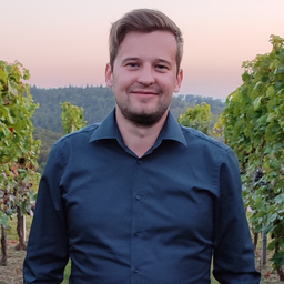 Fabian Hess's profile picture