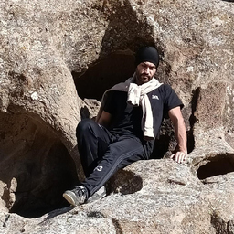 hassan davarpanah