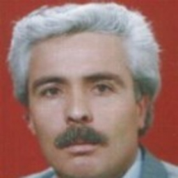 Abdülaziz Özel