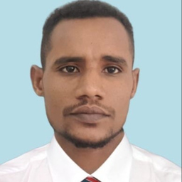 HISHAM AHMED MUSA IBRAHIM