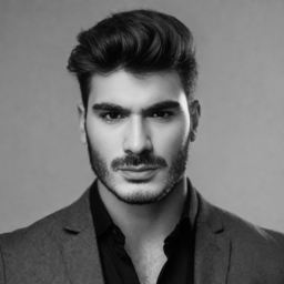 Shahin Shakibai