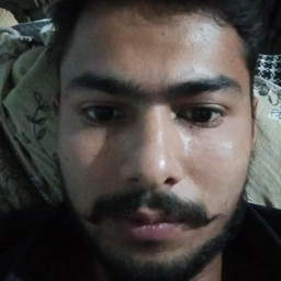 Mujtaba Warraich