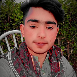 Muhammad Dildar ali