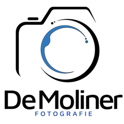 Mauro De Moliner
