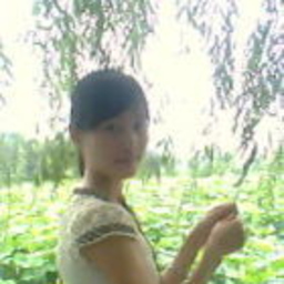 水仙 李