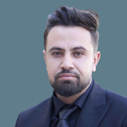 Hamed Amir