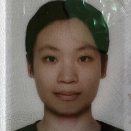 LINGWEI LU