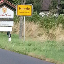 Rene Heede