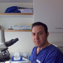 Dr. Ezzaldin Alazzeh