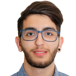 sepehr saberi