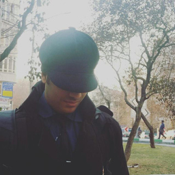 Hamidreza Karamian