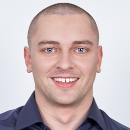 Damir Hodzic