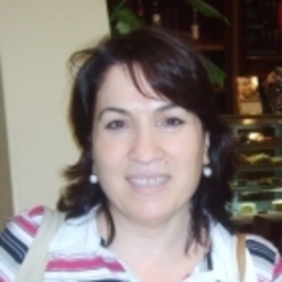 H. Handan Kavas