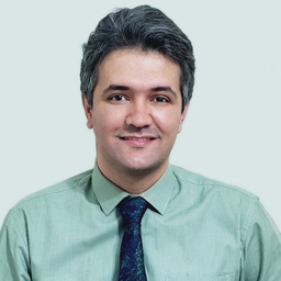 Mohsen Mirzay