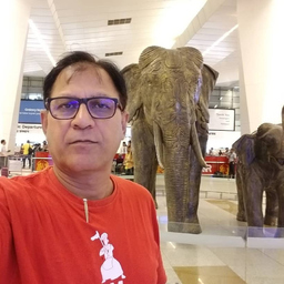 Naveen Burman