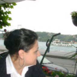 Sevil Aktay
