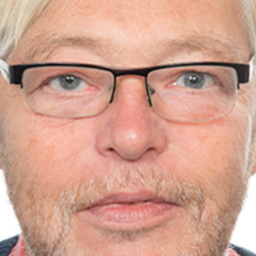 Freimut Hengst