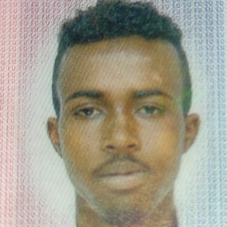 Mahamed Ahmed-Hussen