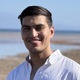 Ahmed Allam