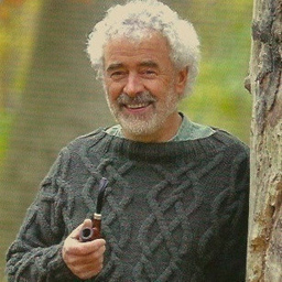 Prof. Dr. Hans Henning Wetz