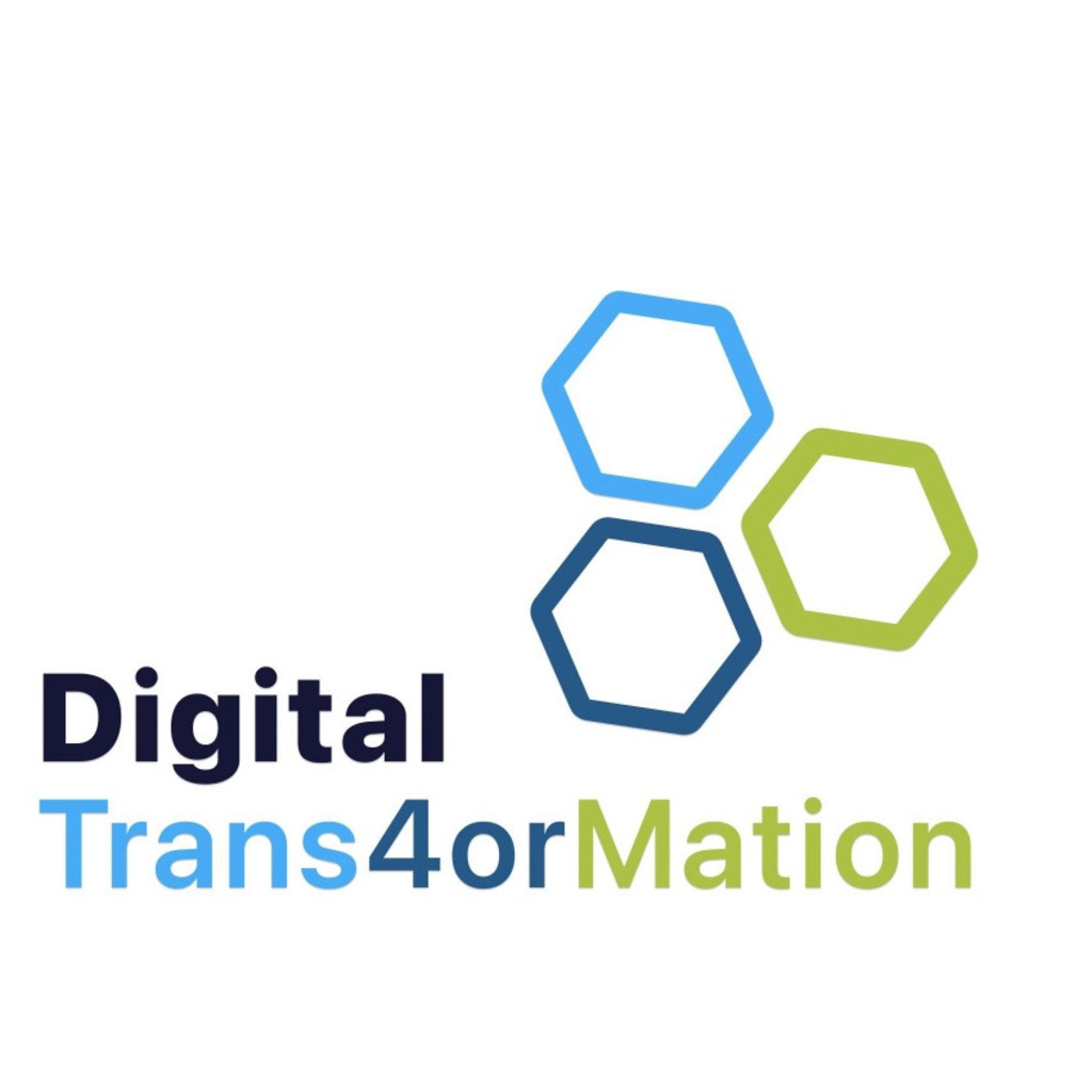 Mohamed Ismail Chief Executive Officer (CEO) Digital Trans4ormation