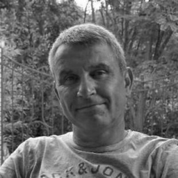 Karsten Liese