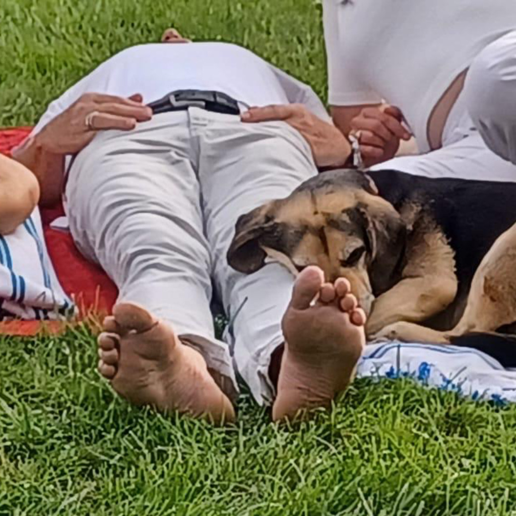 Mag. Holger Kern Politische Wissenschaften/Germanistik Universität