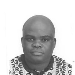 Femi Folarin