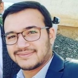 Hatem Hamani
