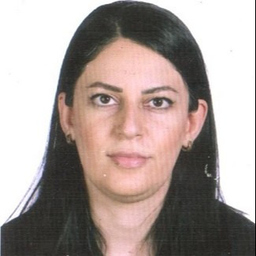 fahimeh salimi