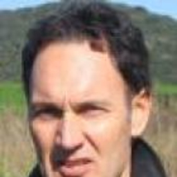 claudio veggian
